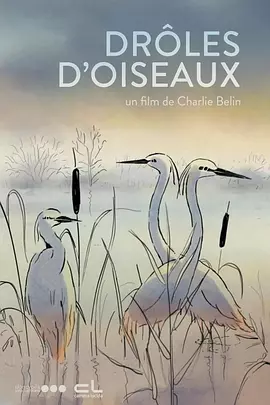 爱插综合网